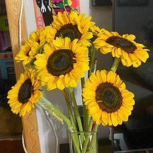 Meet your Posher, Araceli